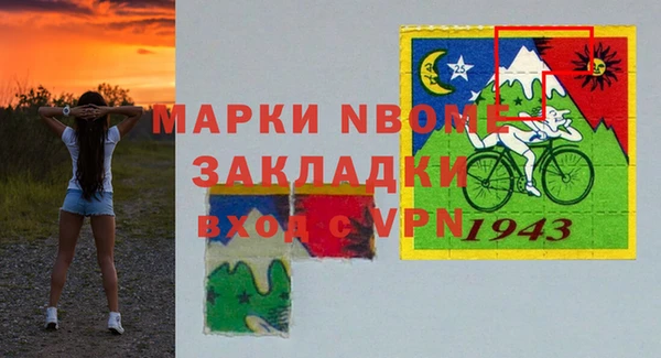 индика Тавда