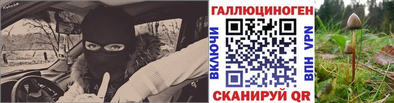 Галлюциногенные грибы прущие грибы  Красный Кут 